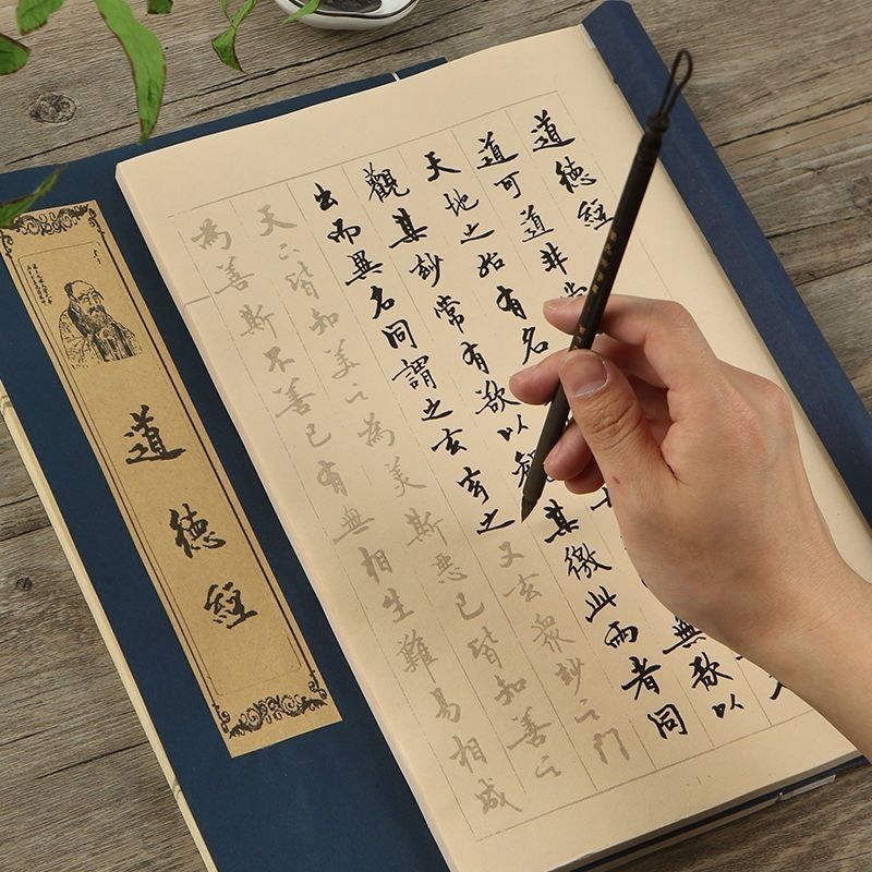 Chinese Calligraphy Practice Book - Pincel caneta copybooks chinês personagem caligrafia