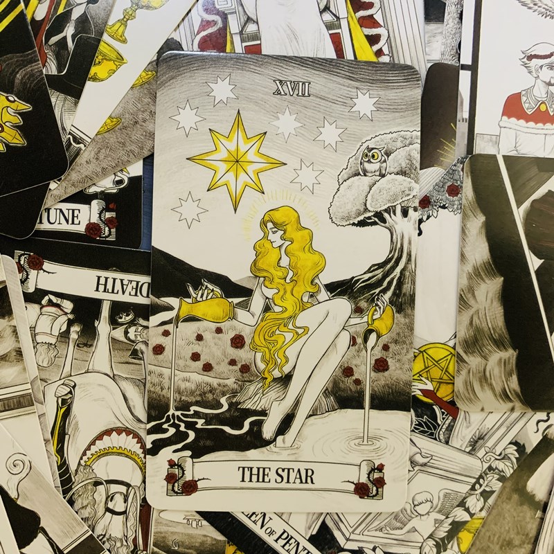 Cartas de tarô com espelho sec - Tarot Deck With Guidebook avaliação e preço